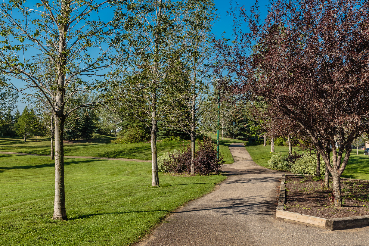 Avalon Park