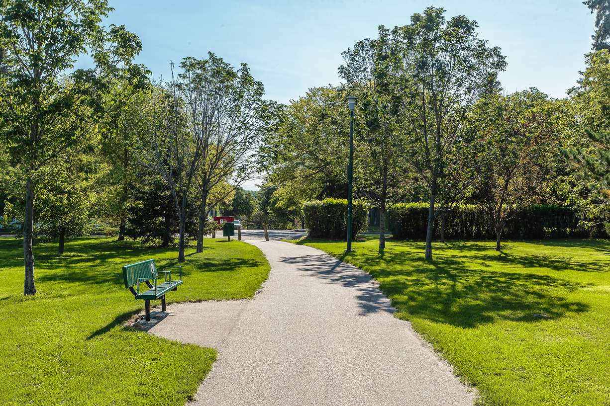 Wilson Park