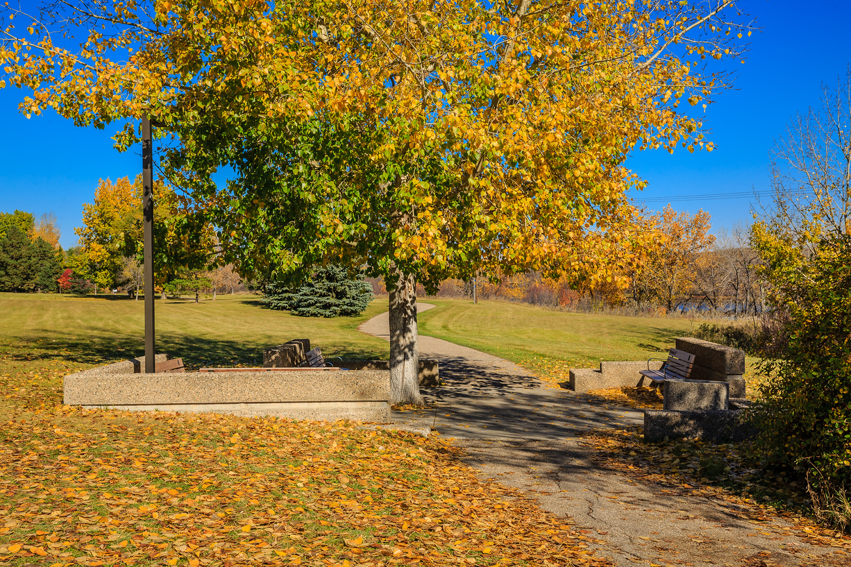 Meewasin Park